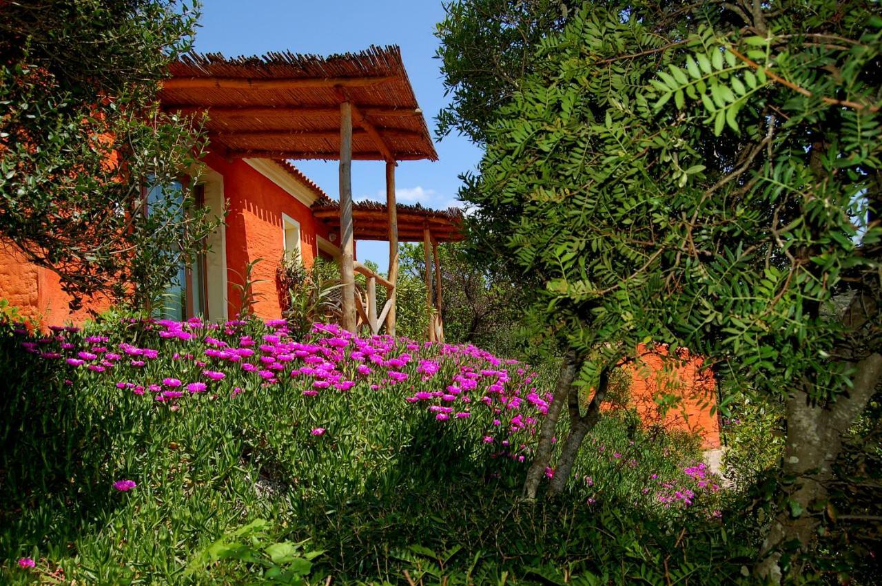 Hotel Aldiola Country Resort Sant'Antonio di Gallura Exterior foto